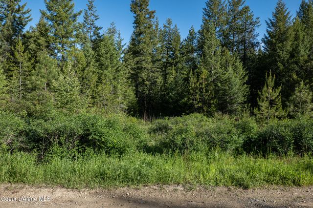 NKA Lot 4 Flat Iron, Spirit Lake, ID 83869