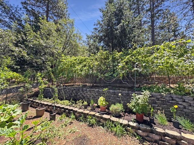 505 Caruso Ct, Colfax, CA 95713