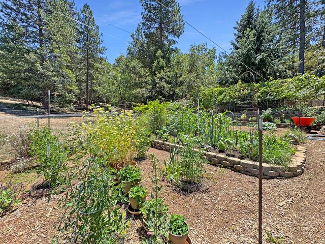 505 Caruso Ct, Colfax, CA 95713