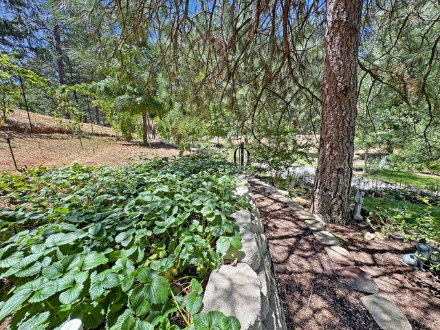 505 Caruso Ct, Colfax, CA 95713
