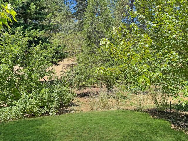 505 Caruso Ct, Colfax, CA 95713