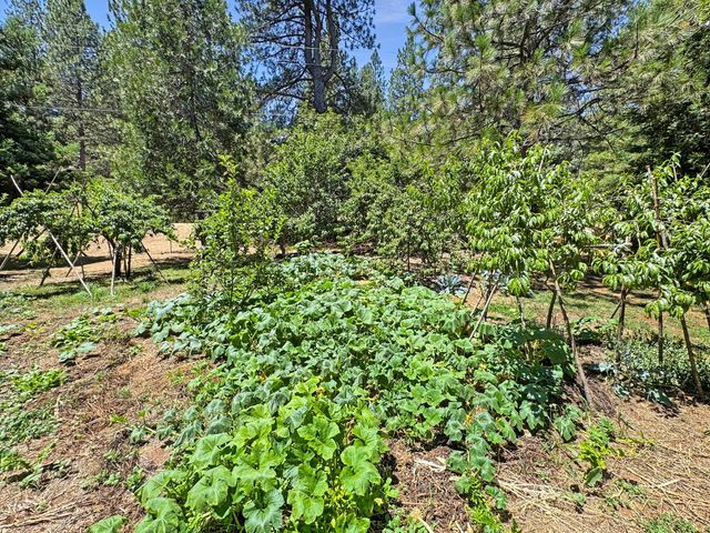 505 Caruso Ct, Colfax, CA 95713