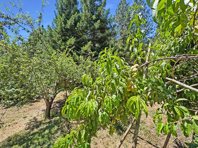 505 Caruso Ct, Colfax, CA 95713