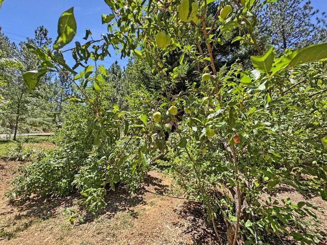 505 Caruso Ct, Colfax, CA 95713