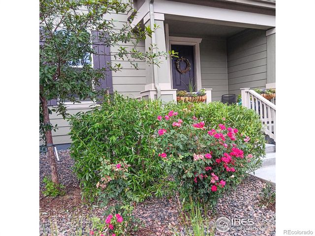 1154 Anker Drive, Erie, CO 80516