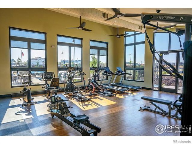 1154 Anker Drive, Erie, CO 80516