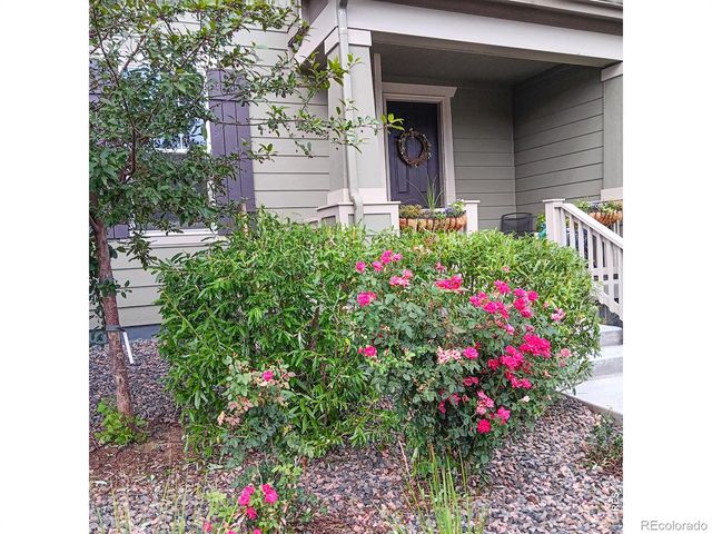 1154 Anker Drive, Erie, CO 80516