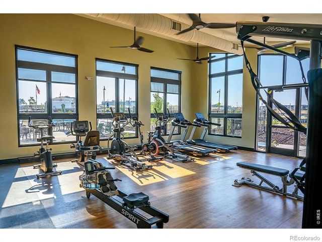 1154 Anker Drive, Erie, CO 80516