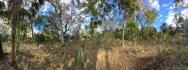 9291 E Riverbluff Court, Inverness, FL 34453