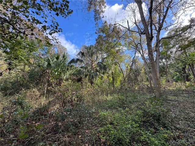 9291 E Riverbluff Court, Inverness, FL 34453