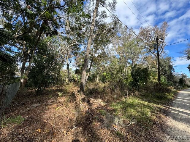 9291 E Riverbluff Court, Inverness, FL 34453