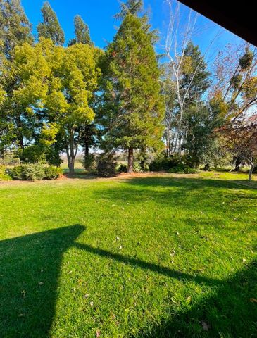 12419 28 Mile Rd, Oakdale, CA 95361