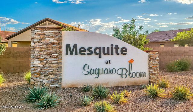 10066 N Guayacan Trail, Marana, AZ 85653
