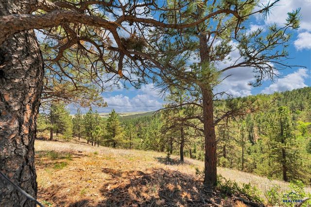 24611 WHITE TAIL RDG RD, Hermosa, SD 57744