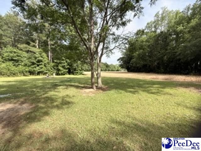 4741 Narrow Paved Rd., Lynchburg, SC 29080