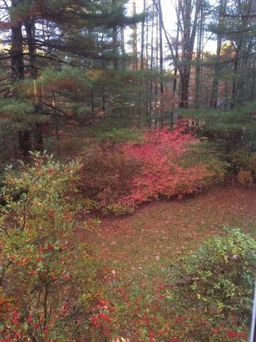494 Station Rd, Amherst, MA 01002