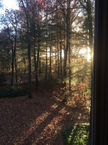 494 Station Rd, Amherst, MA 01002