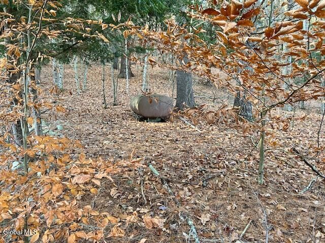 14 Hilltop Road, Edinburg, NY 12835