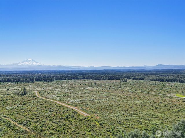 1409 330th Street Ct E, Roy, WA 98580
