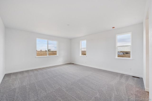 6389 Hidden River Avenue, Loveland, CO 80538