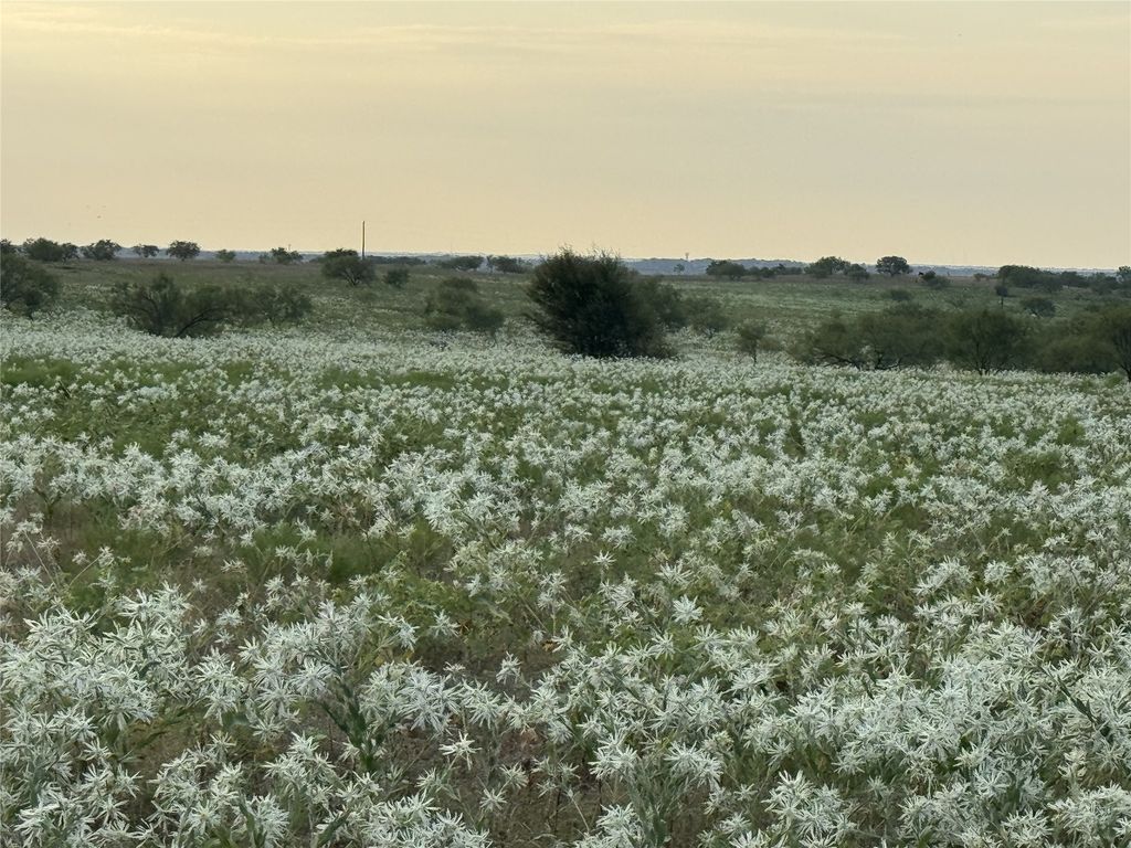 201 Private Road 4512, Decatur, TX 76234 — photo 3