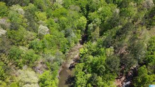 LAKE GENEVA DRIVE, Wedowee, AL 36278