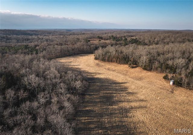 3490 County Road 6220, Jadwin, MO 65501