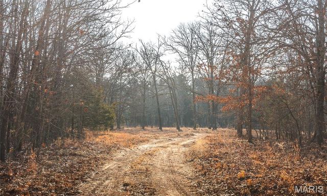 3490 County Road 6220, Jadwin, MO 65501