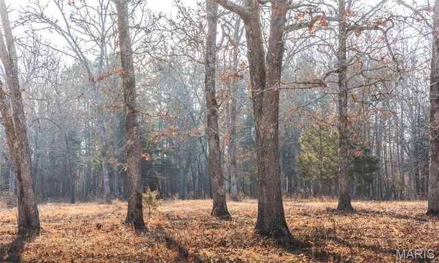 3490 County Road 6220, Jadwin, MO 65501