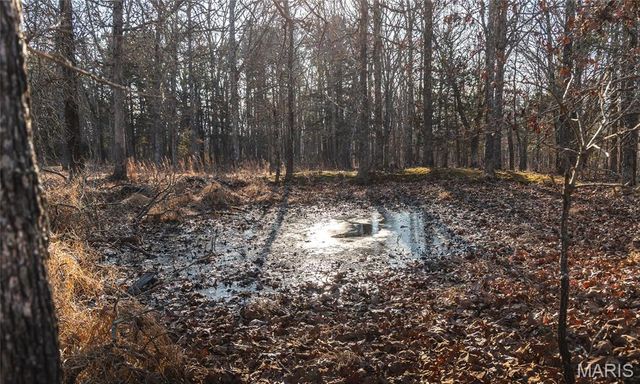 3490 County Road 6220, Jadwin, MO 65501