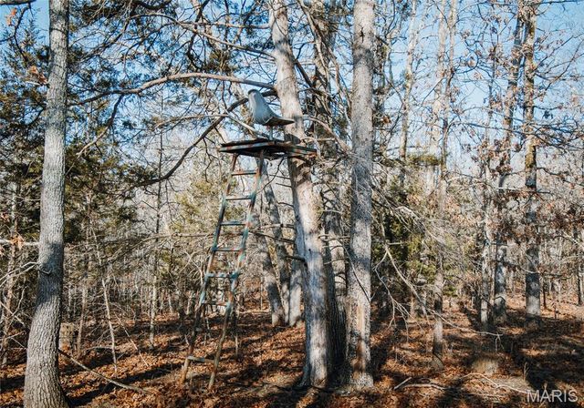 3490 County Road 6220, Jadwin, MO 65501