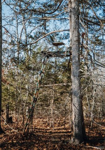 3490 County Road 6220, Jadwin, MO 65501