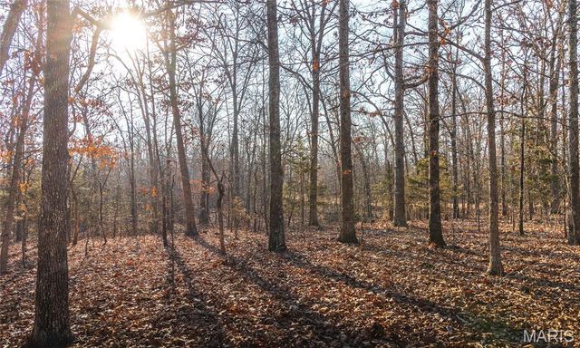 3490 County Road 6220, Jadwin, MO 65501