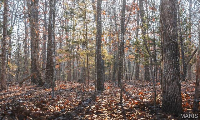 3490 County Road 6220, Jadwin, MO 65501