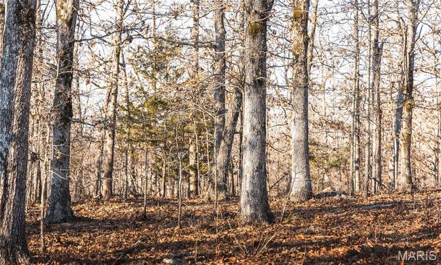 3490 County Road 6220, Jadwin, MO 65501