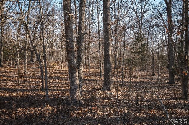 3490 County Road 6220, Jadwin, MO 65501