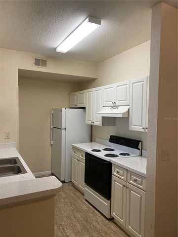 17110 CARRINGTON PARK DRIVE 825, Tampa, FL 33647