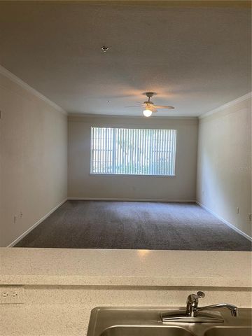 17110 CARRINGTON PARK DRIVE 825, Tampa, FL 33647