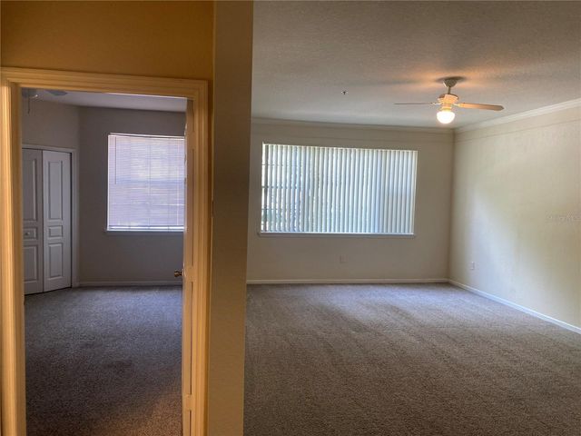 17110 CARRINGTON PARK DRIVE 825, Tampa, FL 33647