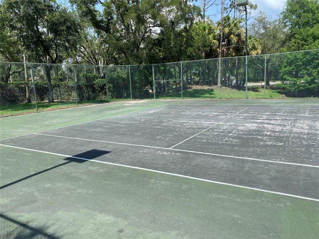 17110 CARRINGTON PARK DRIVE 825, Tampa, FL 33647