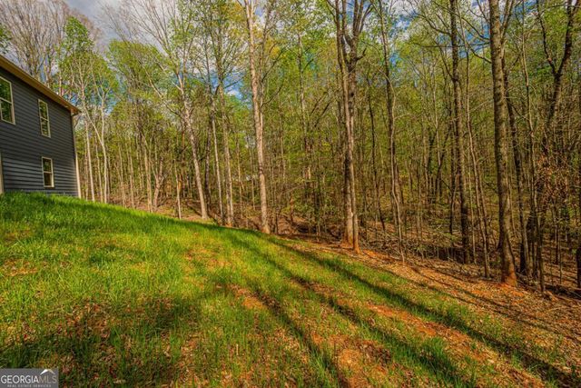 135 Rocky Branch Drive, Murrayville, GA 30564