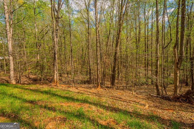 135 Rocky Branch Drive, Murrayville, GA 30564