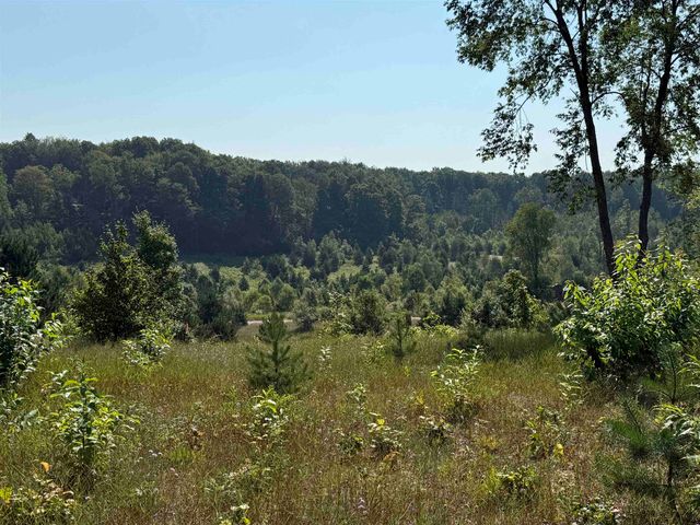 Parcel A3 E Kasson Road, Maple City, MI 49664