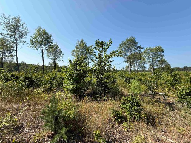 Parcel A3 E Kasson Road, Maple City, MI 49664