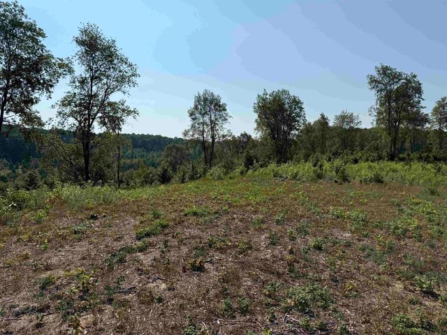 Parcel A3 E Kasson Road, Maple City, MI 49664