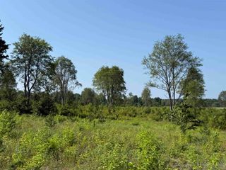 Parcel A3 E Kasson Road, Maple City, MI 49664