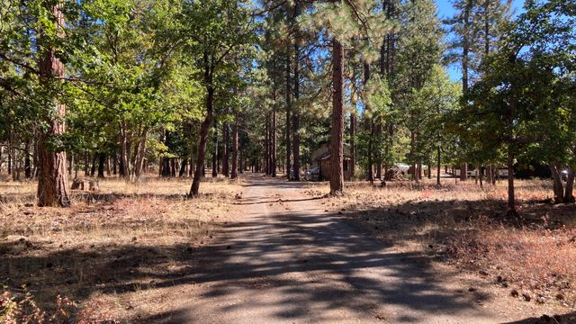 640-540 Iris Road, Mcarthur, CA 96056