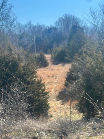 720 Redwood Lane, Mammoth Spring, AR 72554