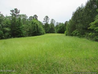Lot 3 Permenter Road, Canton, MS 39046