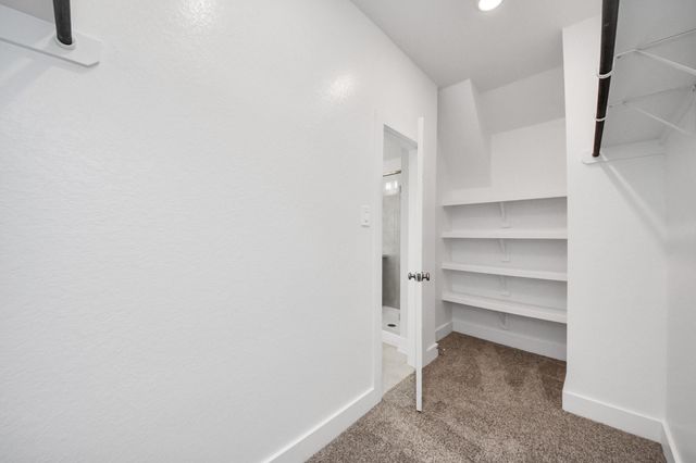 243 Bay Laurel Court, Alvin, TX 77511